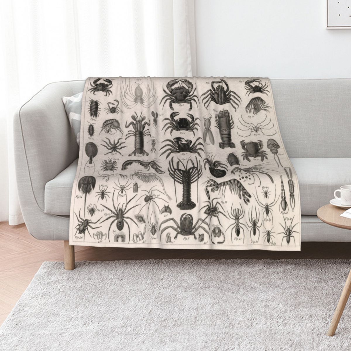 1857 Diagram Zoology: Animals  - 3D Printing Diagram ulasan dan harga