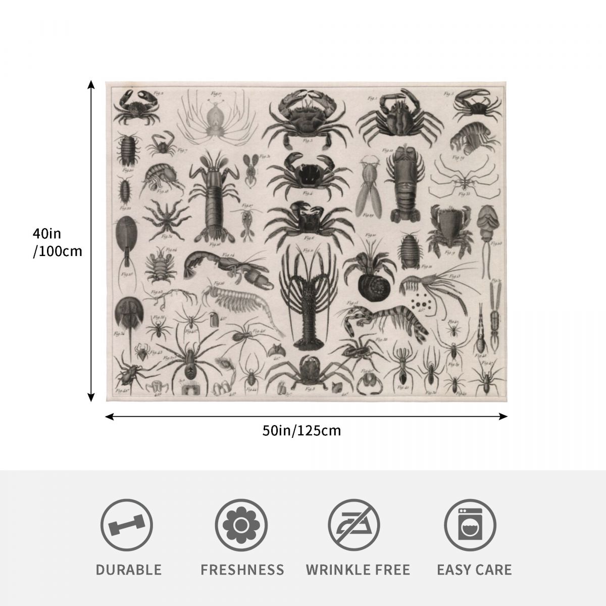 1857 Diagram Zoology: Animals  - 3D Printing Diagram ulasan dan harga