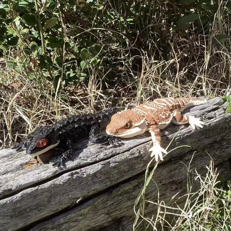 3D Printing Creative Crocodile - 3D Printing Lizard ulasan dan harga