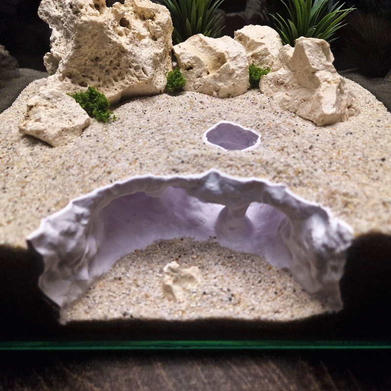 3D Printed Forked Cave Aquariu - 3D Printing Lizard ulasan dan harga