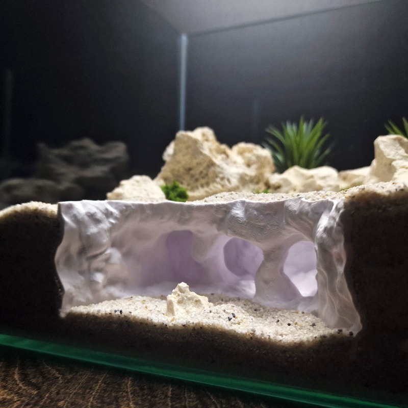 3D Printed Forked Cave Aquariu - 3D Printing Lizard ulasan dan harga
