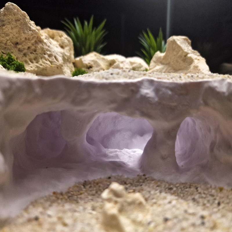 3D Printed Forked Cave Aquariu - 3D Printing Lizard ulasan dan harga
