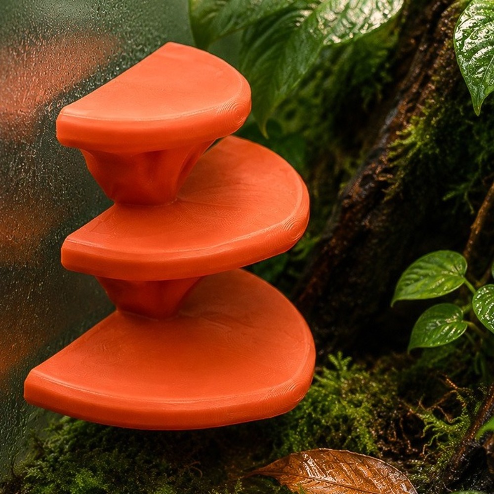 3D Printed Mushroom Shaped Pet - 3D Printing Lizard ulasan dan harga