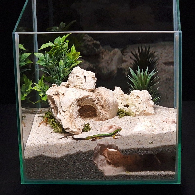 3DPrinted Fish Tank Tunnel She - 3D Printing Lizard ulasan dan harga