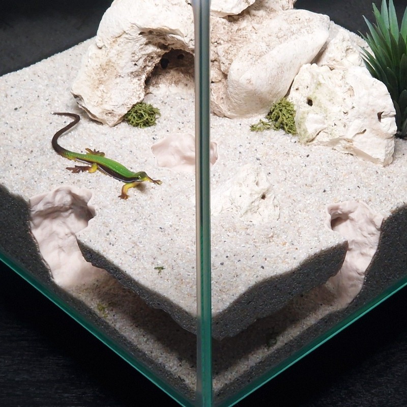 3DPrinted Fish Tank Tunnel She - 3D Printing Lizard ulasan dan harga