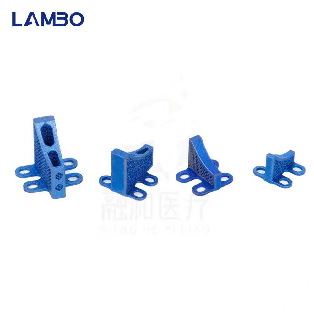 3D Printing TTA System Cage Bo - 3D Printing Orthopedics ulasan dan harga
