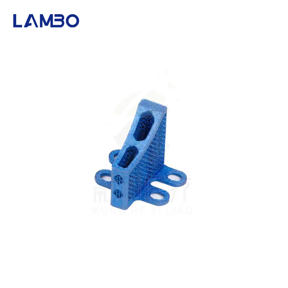 3D Printing TTA System Cage Bo - 3D Printing Orthopedics ulasan dan harga