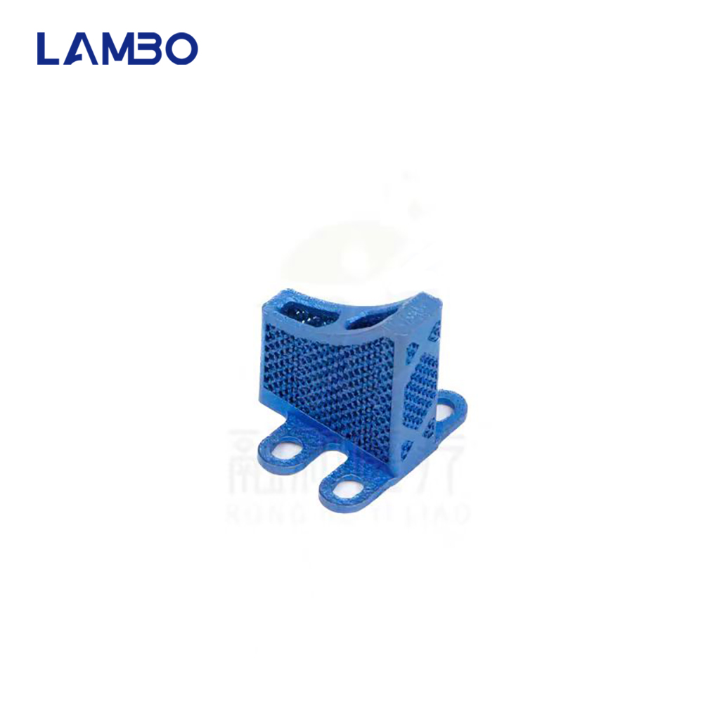 3D Printing TTA System Cage Bo - 3D Printing Orthopedics ulasan dan harga